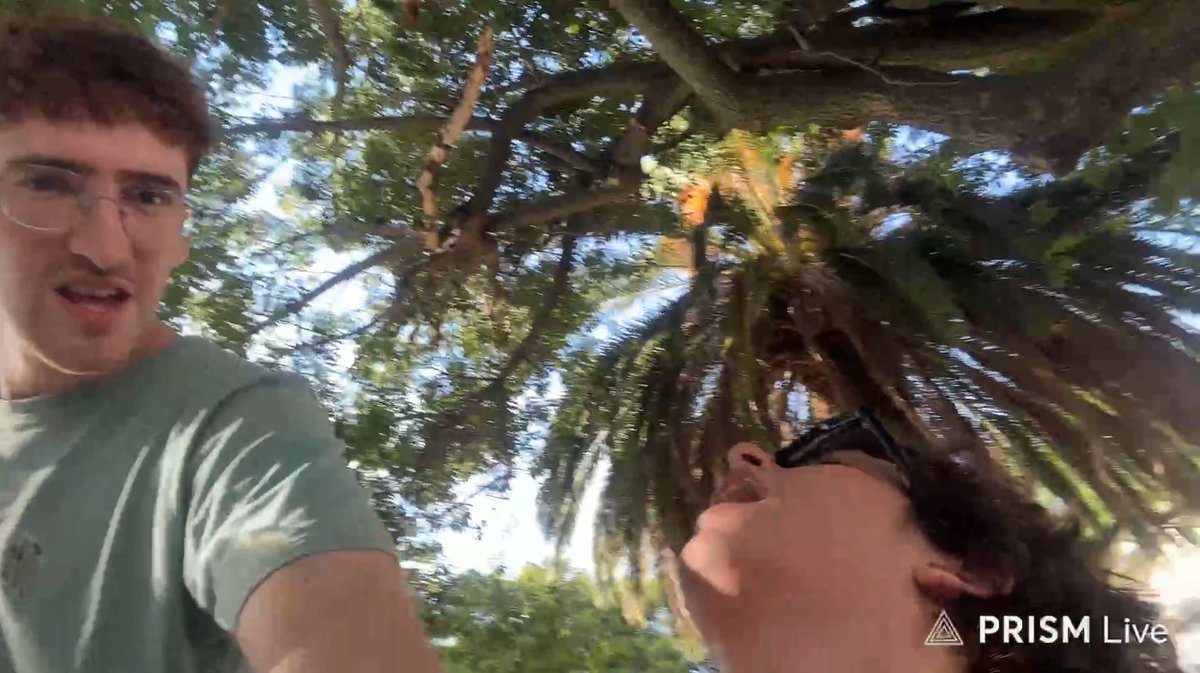 taiko (@00taiko_) on Twitter photo 