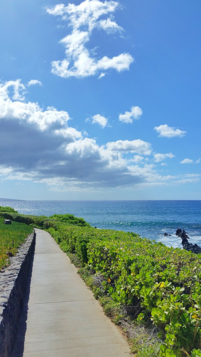 TimTim18000's tweet image. 明るい会社 🧞‍♂️