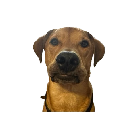 garrett (@idontgare) on Twitter photo 