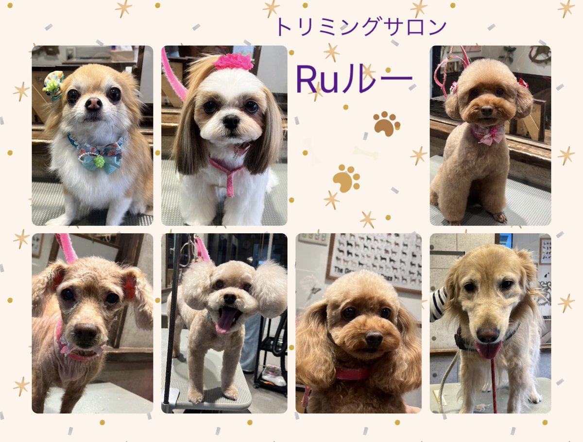 ♡チワワのチャッピーくん
♡シーズーのりんごちゃん
♡トイプードルのバズちゃん
♡トイプードルのみくちゃん＆くうくん
♡トイプードルのかれあちゃん
♡ゴールデンレトリーバーのエマちゃん
です（╹◡╹）

.
.
.

いつもありがとうございます♡
またのご来店心よりお待ちしております
.