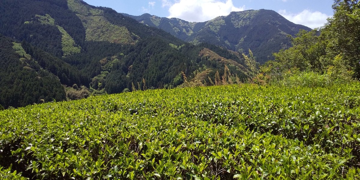 ひで😅 tweet media