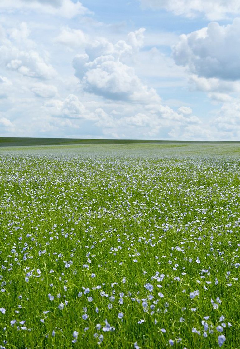 Treeleaf48's tweet image. みんな何してる？ 🦾