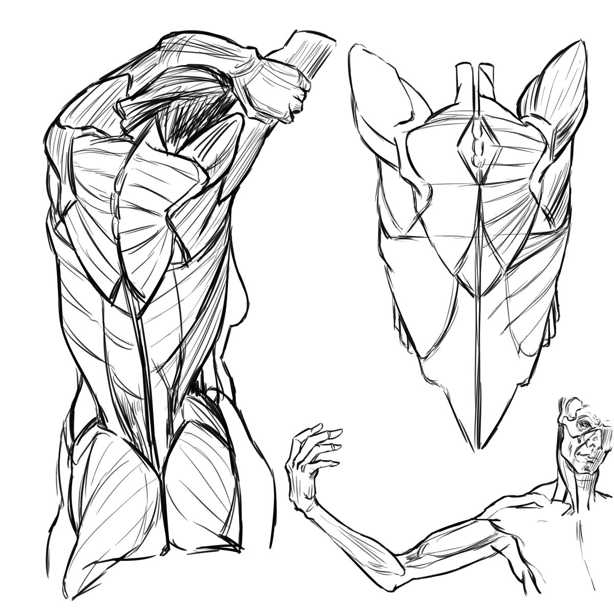 𓆛𓆜𓆝𓆞𓆟𓆡 tweet media