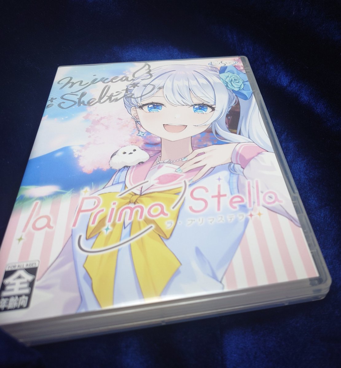 しまくま (@shimakuma555) / Posts / X