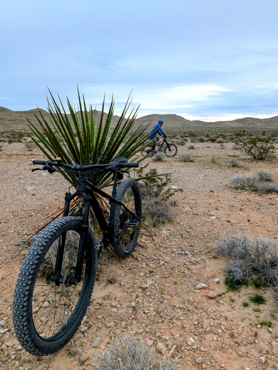 Oh what fun it is to ride!