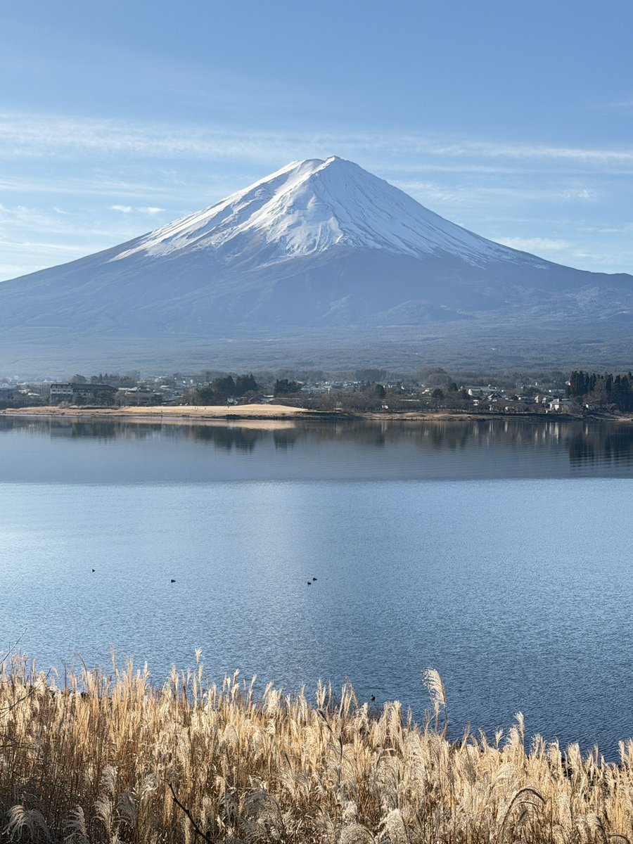 トニー tweet media