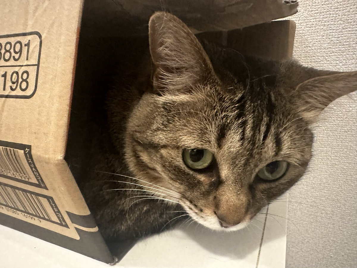 54ROCK / Yusuke Koshiro tweet media