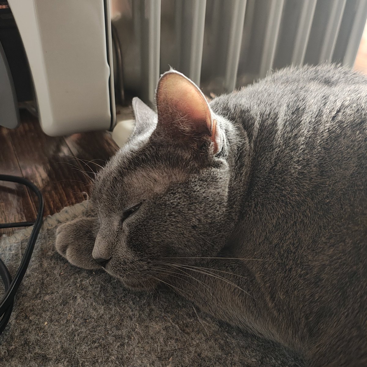 zero7652's tweet image. おはようございます☀今年もあと1日ですね✨
来年も宜しくお願い致します🙇皆様も良いお年を❗👍