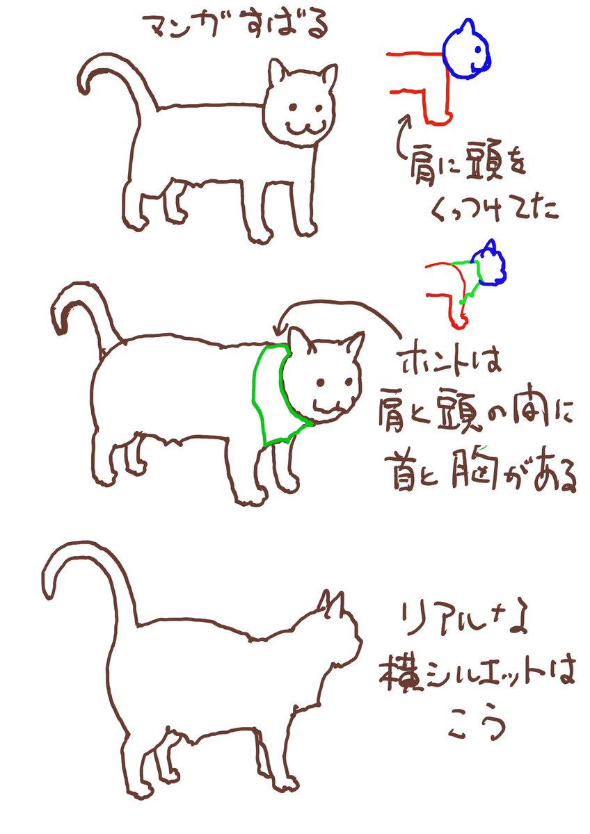 今日ちょっと思ったこと
「猫の肩と頭の間には首と胸がある」
どのくらいマンガに反映するかはまた別の話ですが 