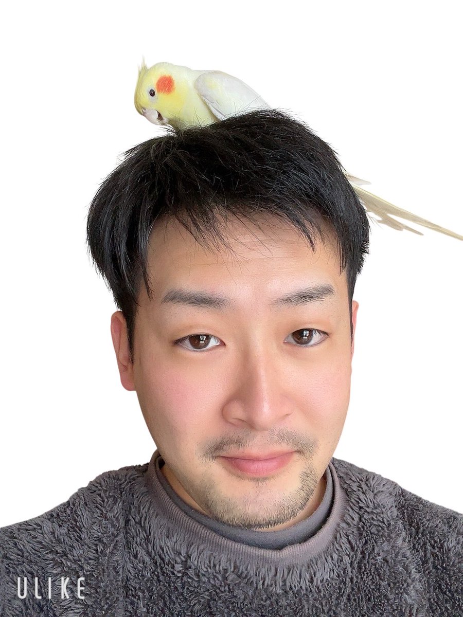 くまぽん STYLE LINEの割引クーポンならくまポンbyGMO