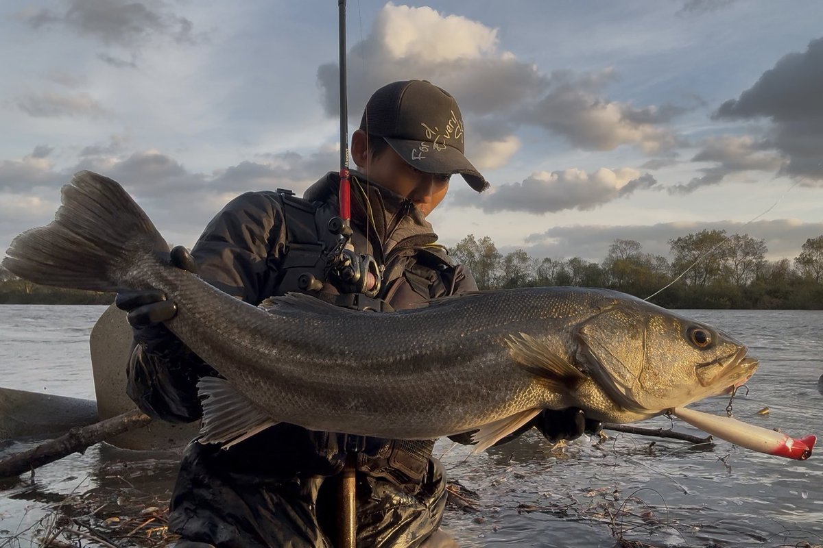 daisukefish's tweet image. 2025
人も魚も良い出会いに恵まれて楽しい1年でした　
南方遠征に関しては課題ばかりですが学生単独地磯GTを目標に来年も頑張ります