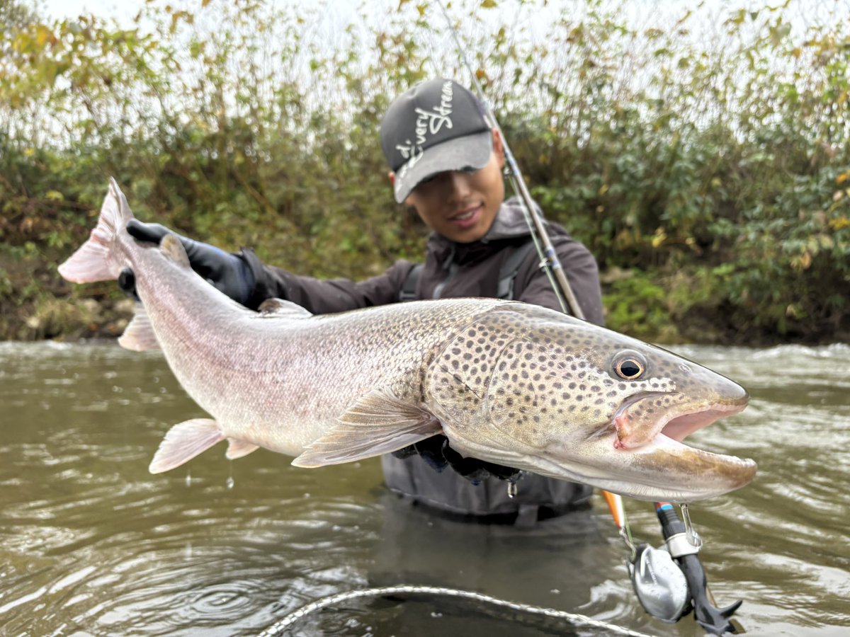 daisukefish's tweet image. 2025
人も魚も良い出会いに恵まれて楽しい1年でした　
南方遠征に関しては課題ばかりですが学生単独地磯GTを目標に来年も頑張ります