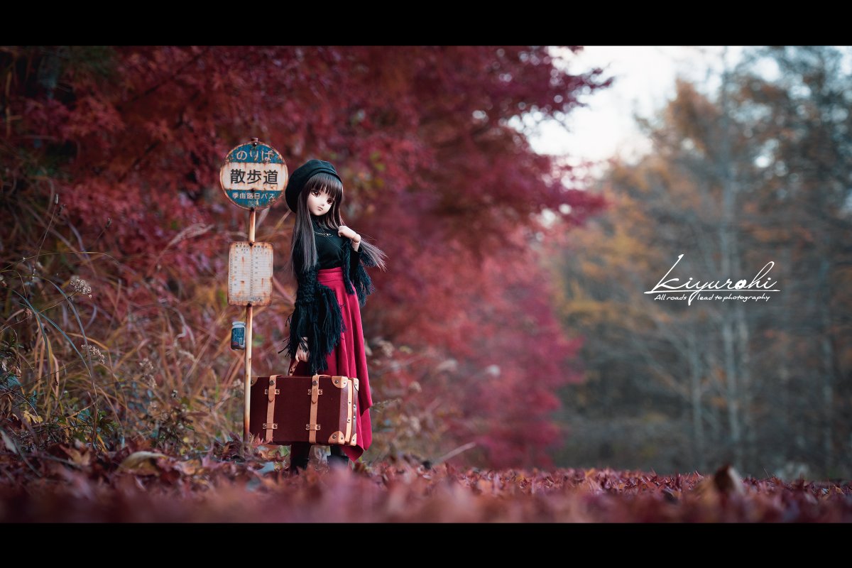 ここ5〜6年でいちばん野外撮影に出かける回数が少ない1年だったけど、雪・桜・紅葉と要所はしっかり楽しんだ☺️来年もこんな感じで。
#2025年自分が選ぶ今年の4枚
