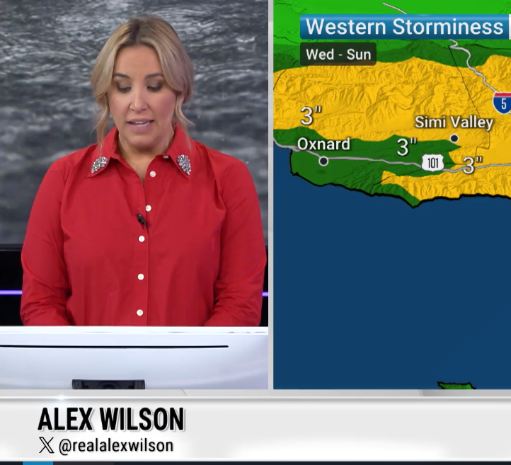 Alex Wilson tweet media