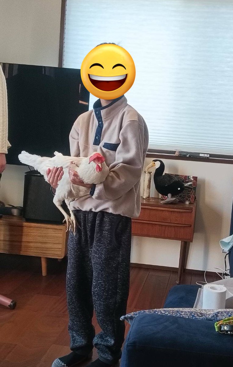 🐓ひよときよ🦃Hiyo & Kiyo🎠 (@mii11119) / Posts / X