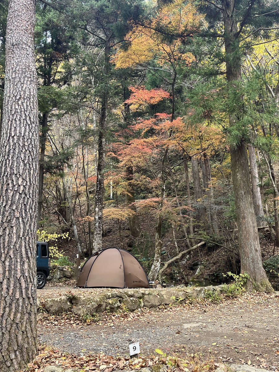 shonan_tanaka🛵🚙@⛺️に行こう (@shoan_tigers) / Posts / X