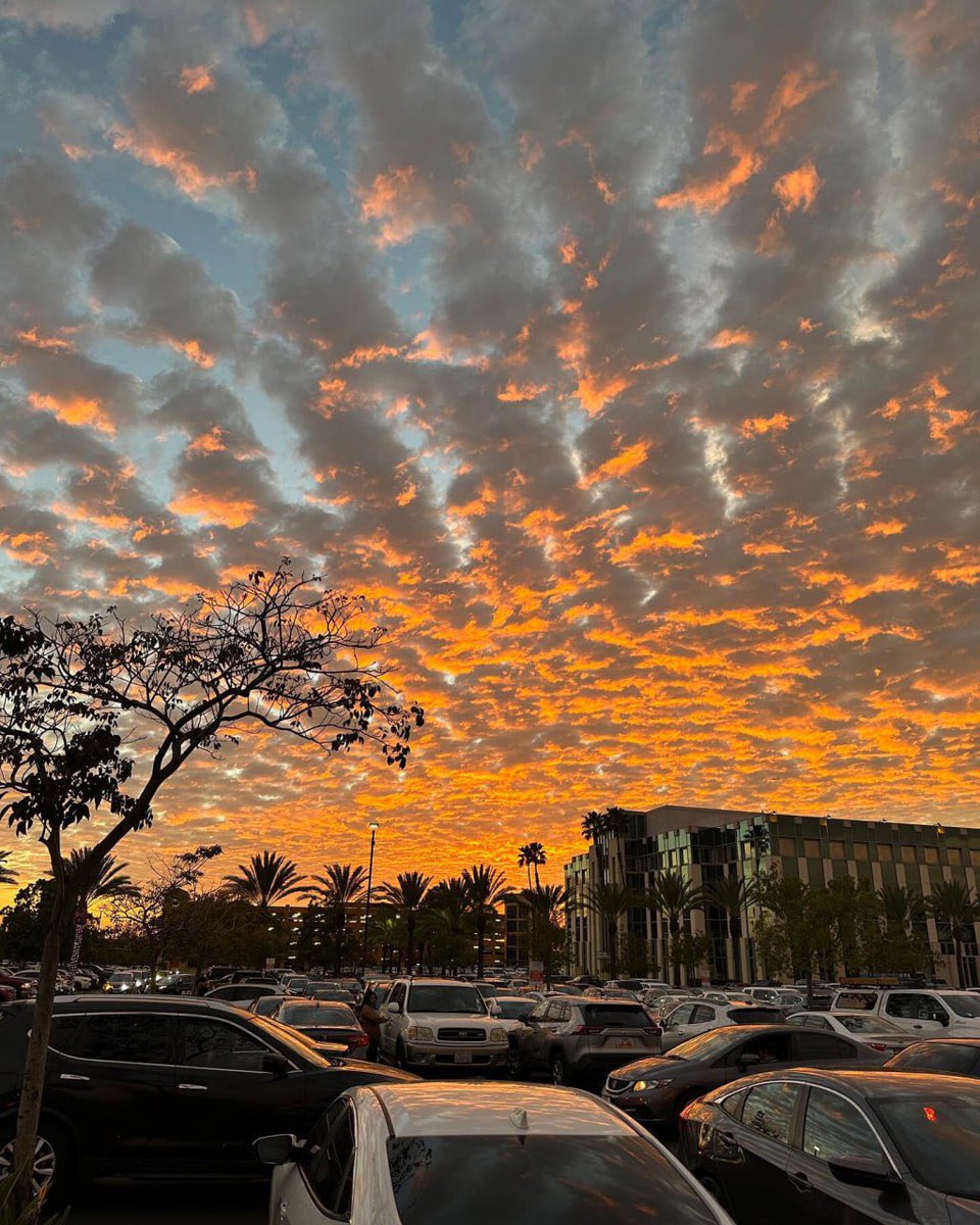 yuechu171's tweet photo. New city, new adventure. Every trip is a reset for the soul. #Travel #Wanderlust #Adventure #ExploreMore #TravelGram#USA #LosAngeles #Sunset https://t.co/P8bUHIk23F