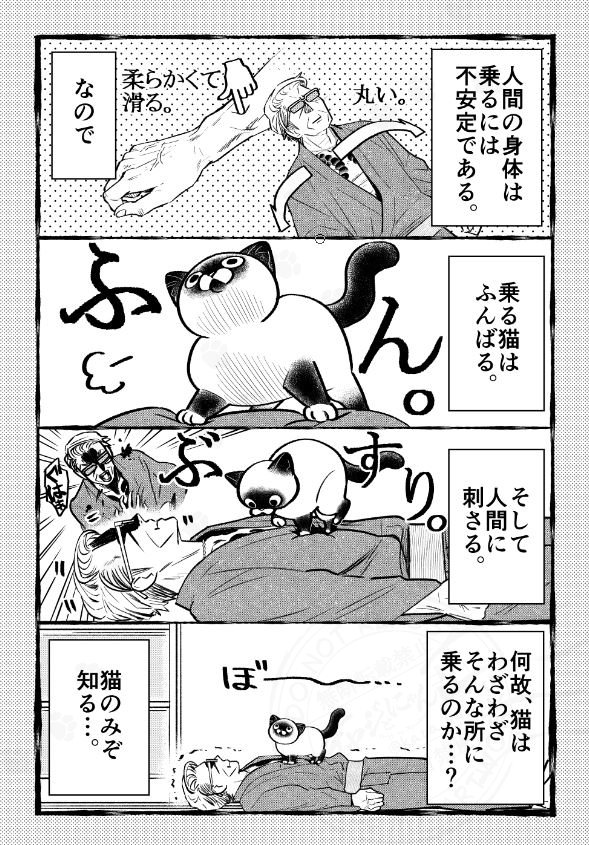 Post by 片倉 頼📦オヤジとにゃん吉👨‍🦳🐾🐱1/ 95⃣巻発売!!🐾 on X