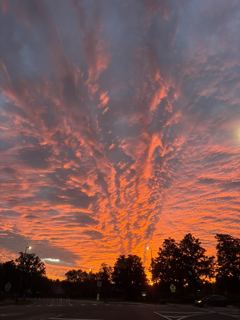 glittterpuss's tweet image. 