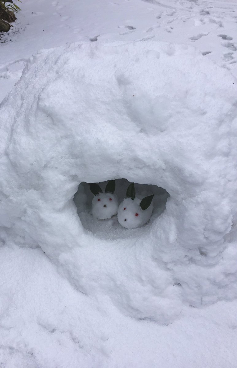 AX__CC's tweet image. SSDに写真を移しスマホの容量空けてます.途方もない作業に疲れたので🍊3つ食べました.胃がもたれました.今日は2017年冬頃にふれたのですがまた運命なのかJRSKISKIの頃でした.昨夜幕張もインスタ投稿から聴けました😭この頃金沢公演行ってライブハウスでピックにも出逢えたようです.それがもう9年前🤔