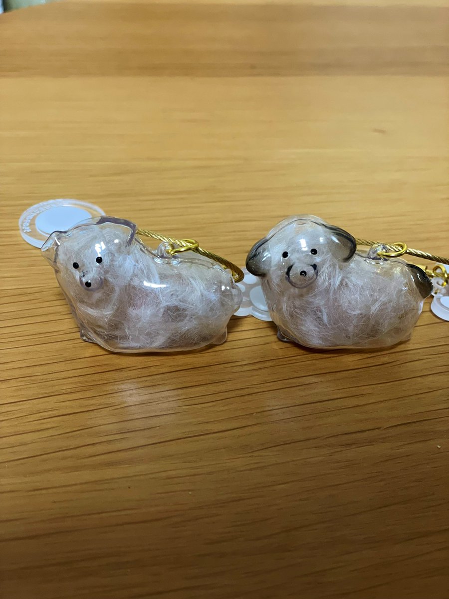 けだまだま クリアボブテイル正規品 うちの子のけだまだま (@kedamastudio) • Instagram photos and videos