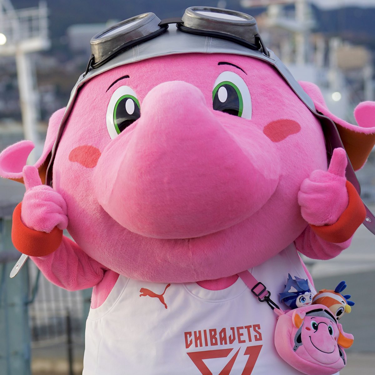 【限定品】ジャンボジャンボくん➕初期ユニジャンボくん　千葉ジェッツ 限定品】ジャンボジャンボくん➕初期ユニジャンボくん 千葉ジェッツ