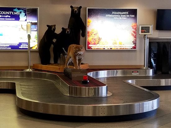 gmoult's tweet image. wrong—pellston regional airport, michigan