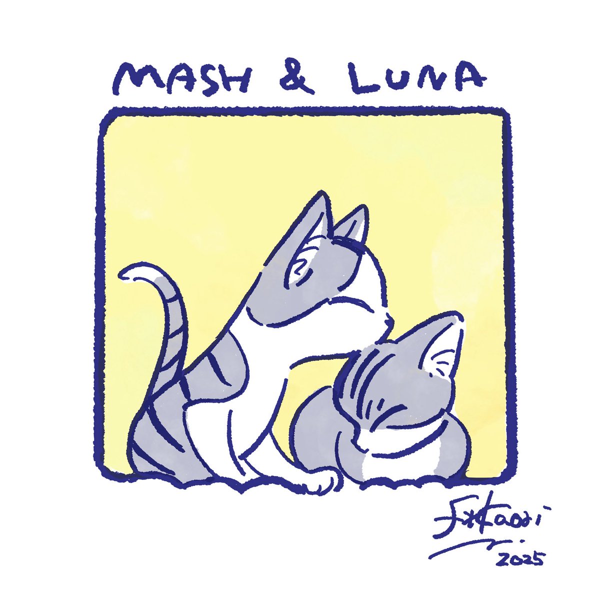 私事ですが最近わが家にねこちゃんたちが仲間入りしました🐈🐈