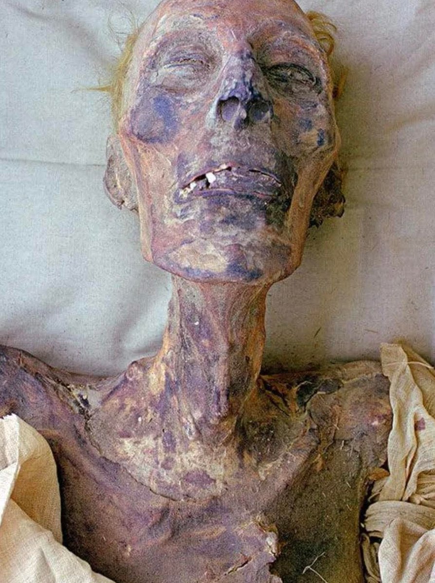 Archaeo - Histories tweet media