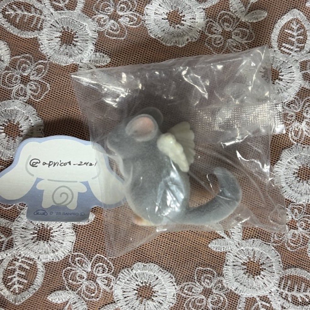 apricot🌼 tweet media