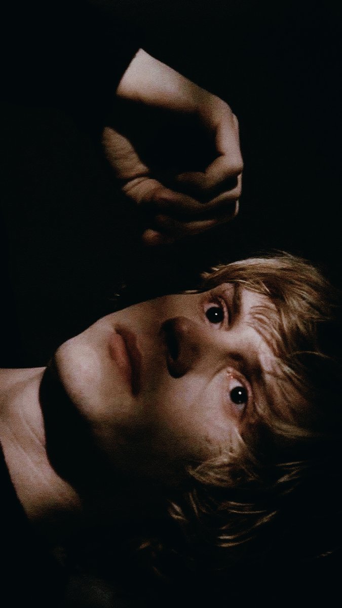 hourly evan peters tweet media