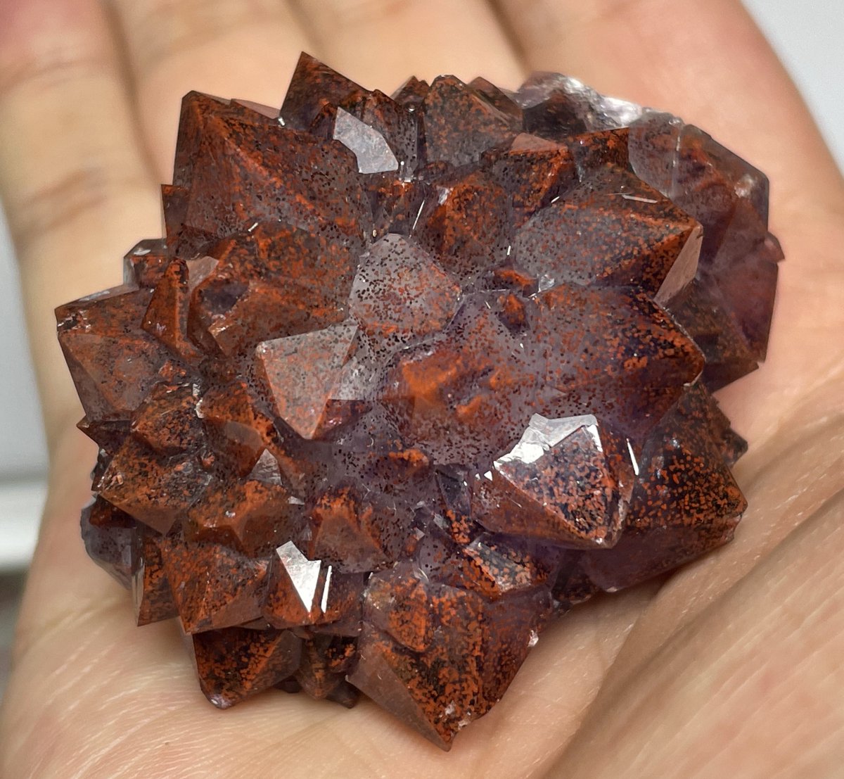 stellar_chaton's tweet image. #紅白石合戦