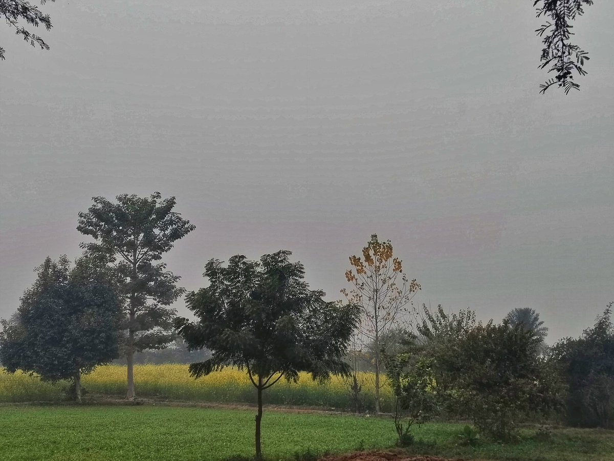 2025 کی آخری صبح  ♥️

دسمبر کا آخری دن ہے
ابھی چند گھڑیاں باقی ہیں
کیلنڈر پرتاریخ تبدیل ہونے میں
چلو مڑ کے دیکھیں ہم
 کہیں کچھ کھو دیا ہم نے
 کہیں کچھ پا لیا ہم نے
 کہیں دل نے بغاوت کی
 کہیں ہم نے وضاحت دی
 یہ سارا کھیل ہے وقت کا
 یہ جو پانا اور کھونا ہے
 یہ سب برابر  ہے
 حساب