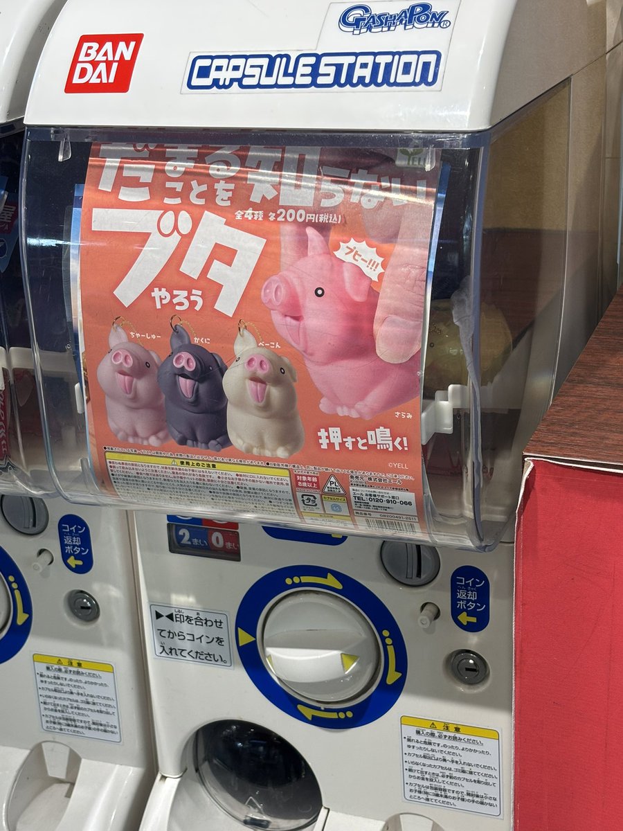 牧之原SA寄ったら翔子さんとブタ野郎いた