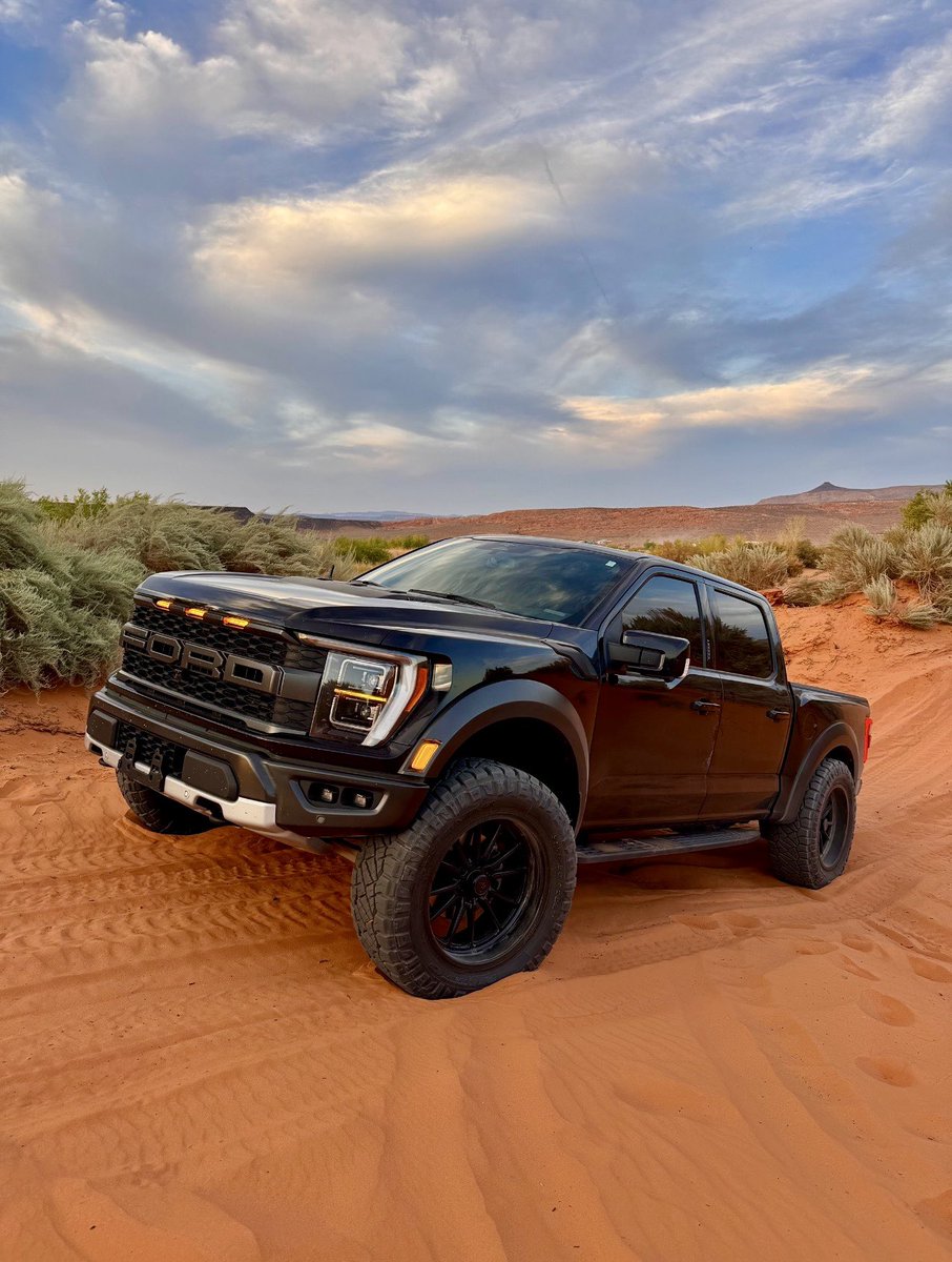 Trayce Young tweet media