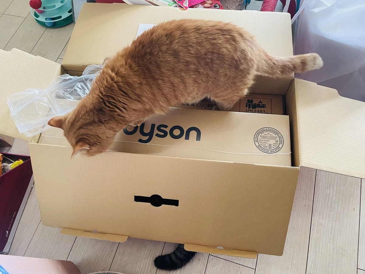 ocmrer (@ocmrer) / Posts / X