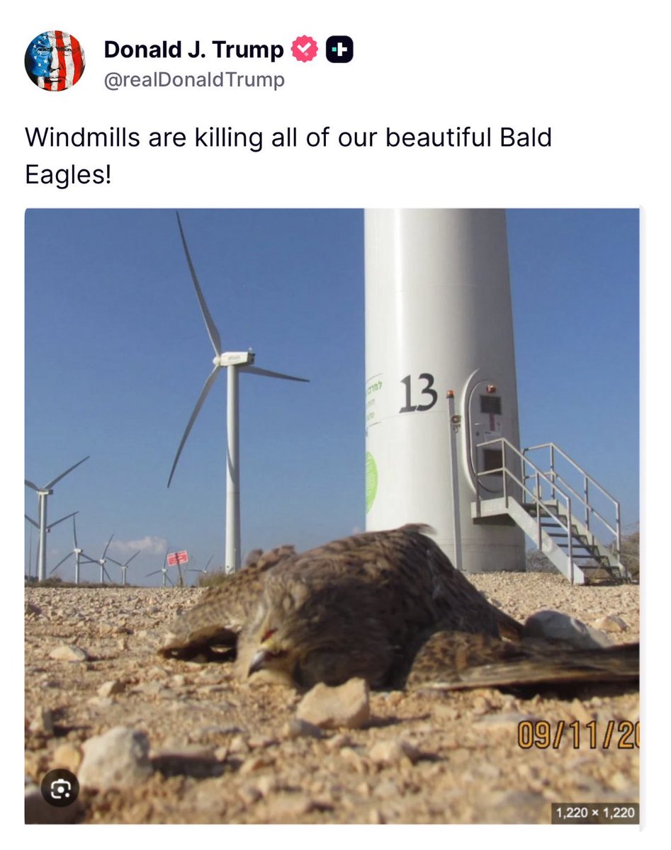 AntiTrumpCanada's tweet image. This motherfucker bombs boats, lets people die in ICE custody, threatens critics, and couldn’t care less if his own citizens die - yet we’re supposed to believe he’s worried about eagles?

Fuck all the way off.