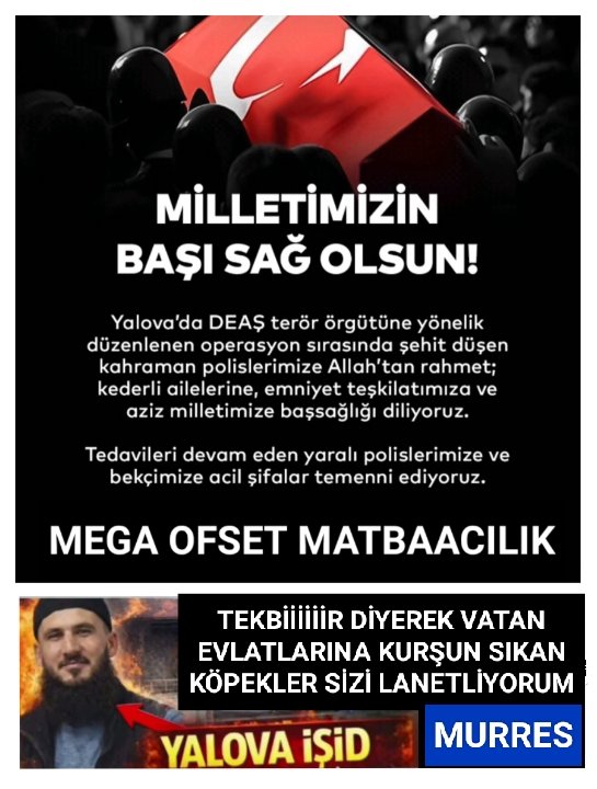 ResulogluA's tweet image. 