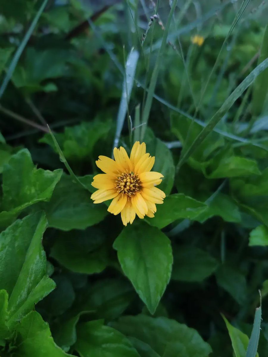 Atar Zhu (@atarzhu) on Twitter photo 