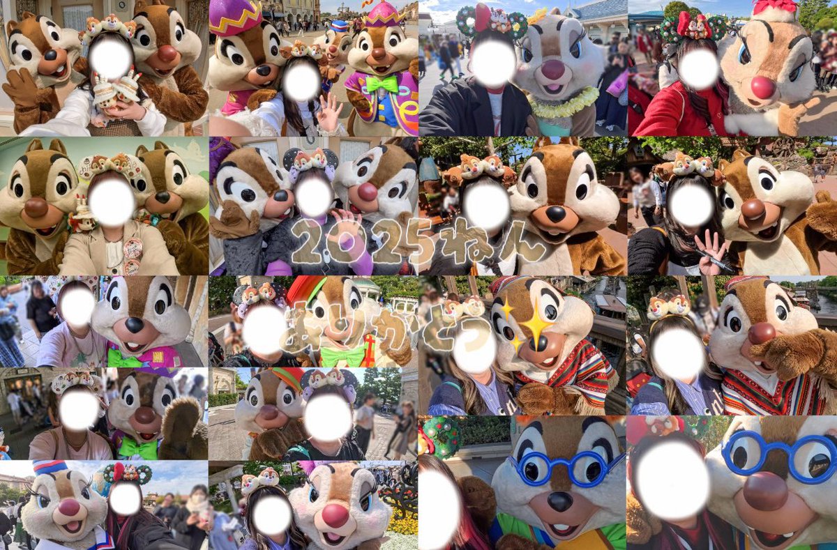 今年もお栗鼠ちゃんたちにたくさん会えた一年でした🙌🏻楽しい思い出がいっぱい！
ありがとう2025年👋🏻🤍