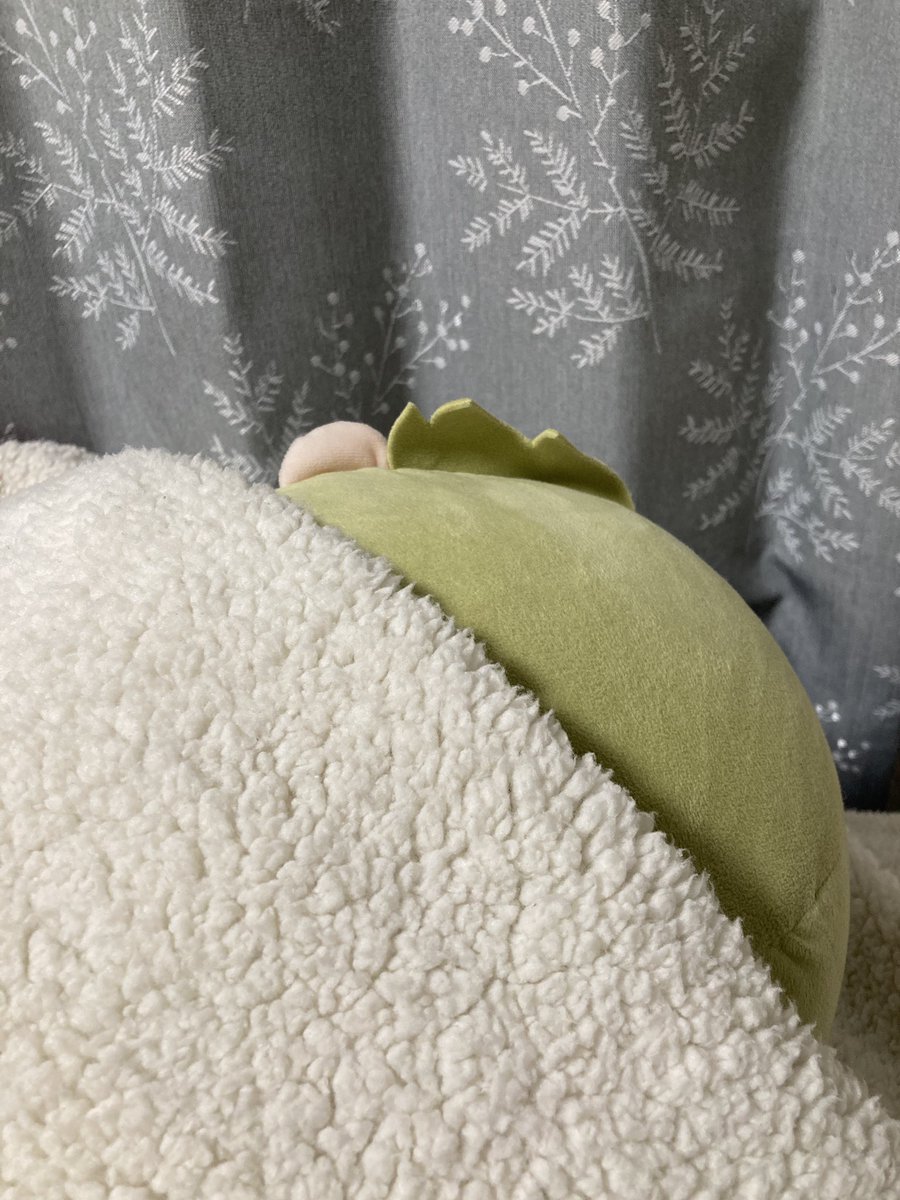 挨拶を終え仕事納めしたふわころ先輩

こちらの皆様もありがとうございました！