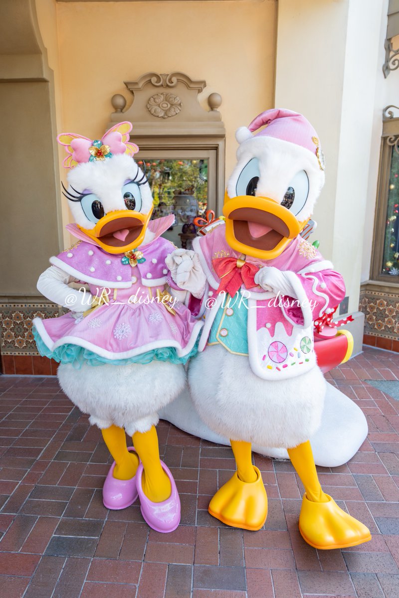 WR_disney's tweet photo. 今年もありがとうございました🙇
沢山の思い出ができた一年でした✨✨

また来年もよろしくお願いします🙇

#2025年自分が選ぶ今年の4枚 https://t.co/4Gulj7q3lW
