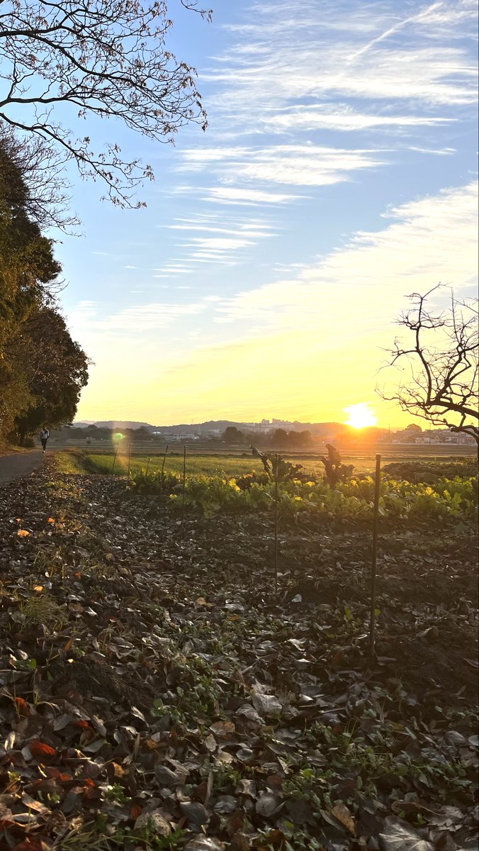 coucouTaec's tweet photo. Last night's fam. gathering (🤡-1)
#lastgatheringoftheyear #homemadedinner
#JRAカレンダー #morningwalks #raymaurin #raymaurinchampagnebrut https://t.co/mNd72XKAzS