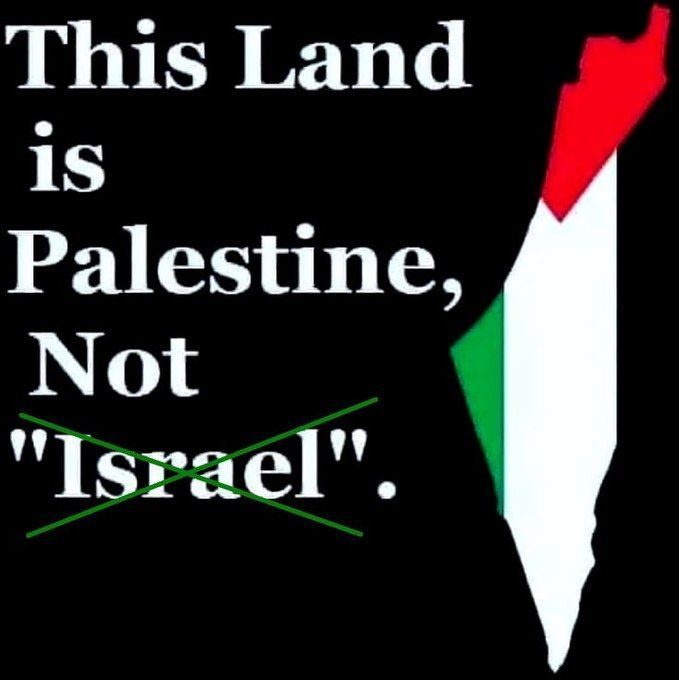 This Land is Palestine