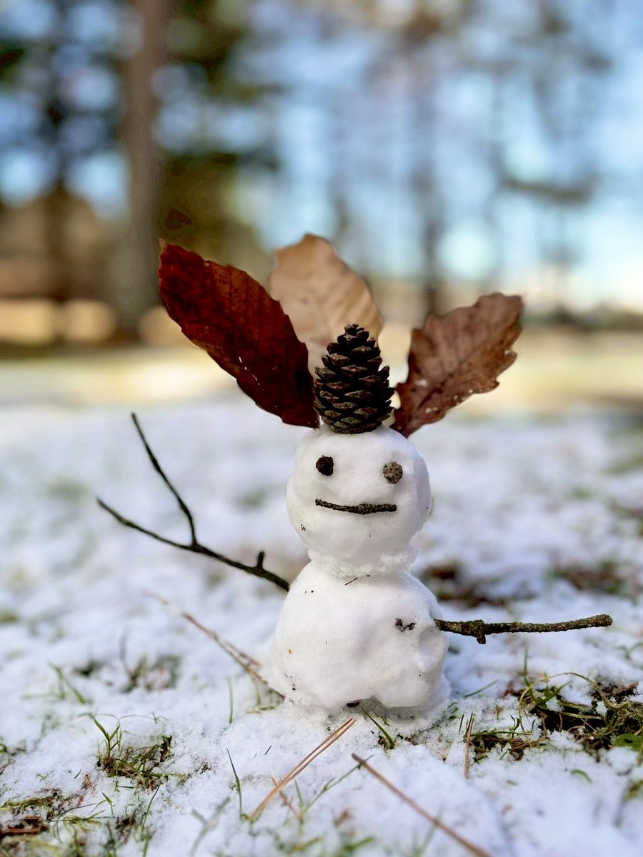 百瀬あざみ（エソラ） tweet media