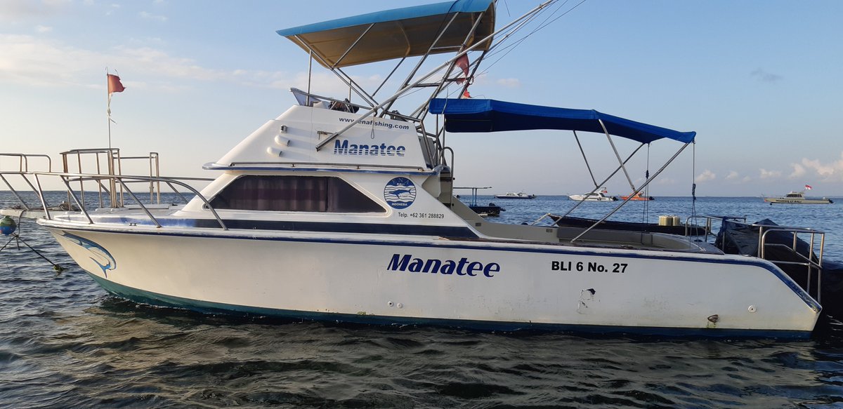 EnaFishing's tweet photo. Come having fun in the ocean by fishing trip, book to https://t.co/3uHV4Sps72 #fishing #fishingtrip #FishingGirls #trollingfishing #bottomfishing #fishingboat https://t.co/zRBbZEgP2c
