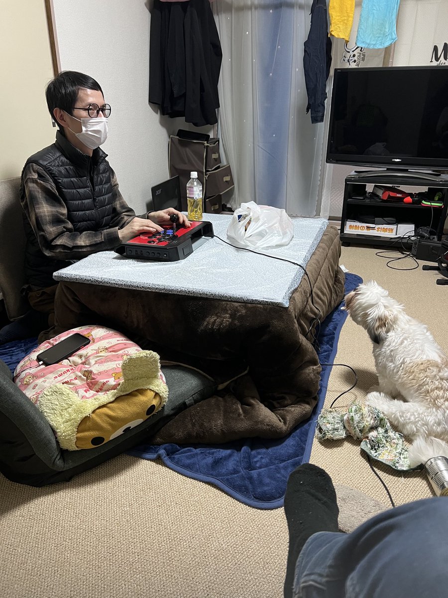 yuzu (@yz1213) / Posts / X