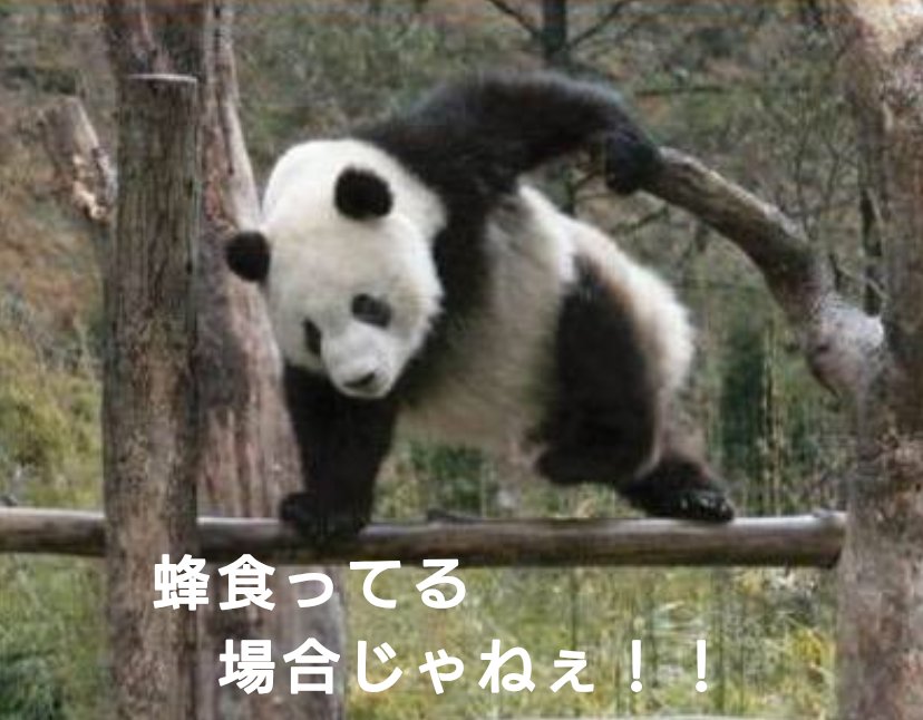 俺が上ガンクする時毎回野良がハチにスキル切ってて今これ