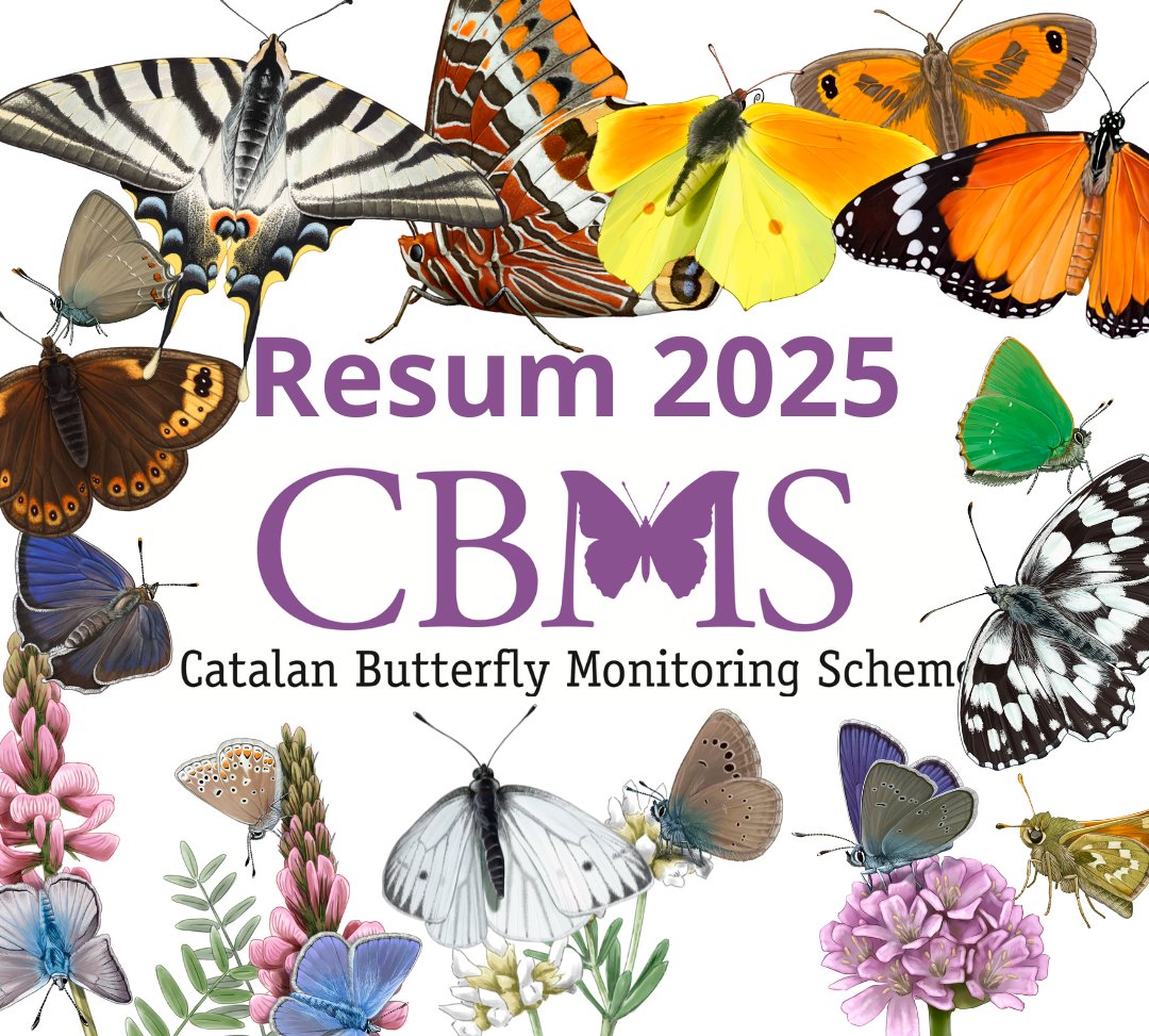 catalanbms's tweet image. RESUM CBMS 2025
Actualizem la web: catalanbms.org/ca/resultats/
Publiquem notícia:catalanbms.org/ca/noticies/la…
Compartim aquí els destacats d'aquesta 32a temporada!
Fil (1/11)