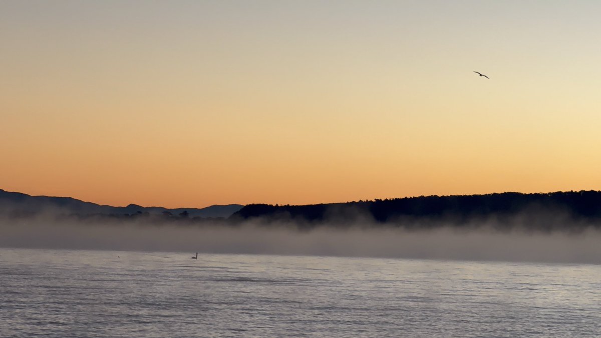Tittina80's tweet photo. Last sunrise of 2025 - lago di Bracciano. Happy New Year ! https://t.co/XeNok9RxzF